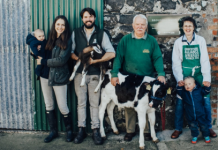 Sample Ireland’s unique food and drink experiences