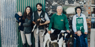 Sample Ireland’s unique food and drink experiences