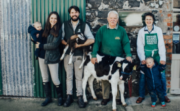 Sample Ireland’s unique food and drink experiences