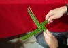 Celebrate the Spirit of St Brigid: Ireland’s Festival of Spring