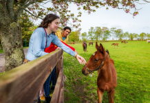 Spring Delights to Discover in Ireland this Easter
