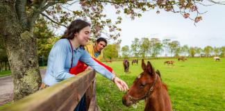 Spring Delights to Discover in Ireland this Easter