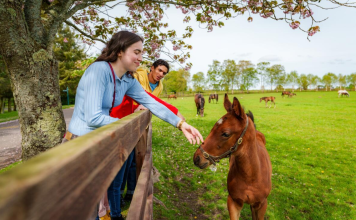 Spring Delights to Discover in Ireland this Easter