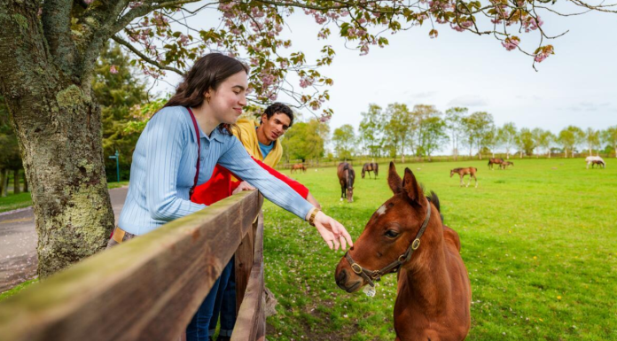 Spring Delights to Discover in Ireland this Easter