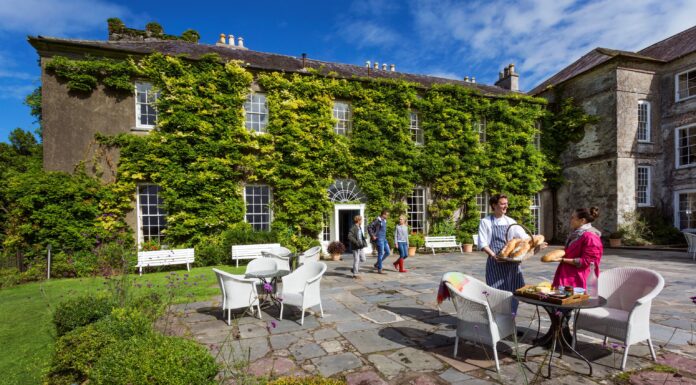 Destination Dining in Ireland: The Tables Worth Travelling For